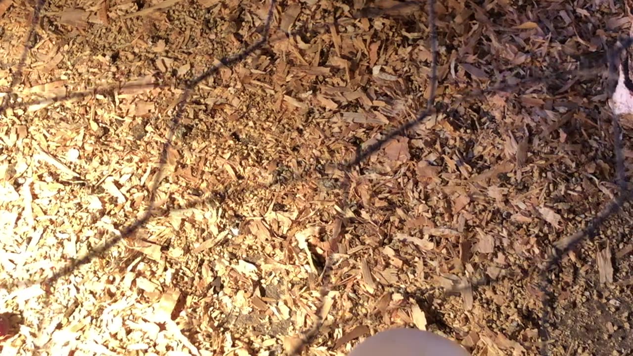 They're growing!