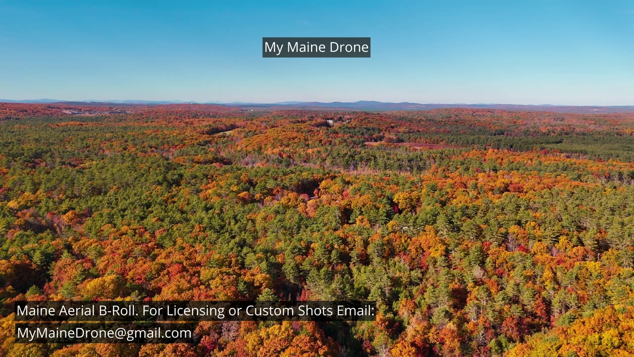 Maine B-Roll (No Sound): Fall Foliage at Lily Pond in New Gloucester, Maine Video 22