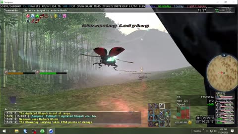 Playing Final Fantasy XI Online