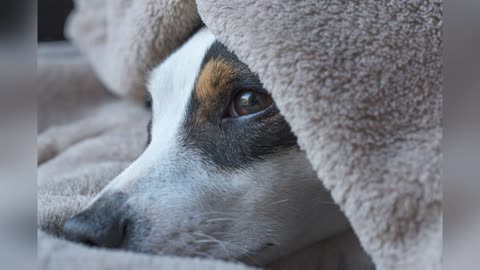 Are You A Wet Blanket 