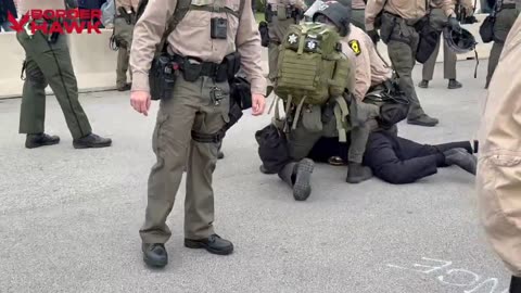 Arrests being made outside ICE Broadview facility, including this woman wearing