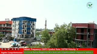 Oduu Ganama ONM-ABO Onkoloolessa 31-2025 itti dhiyaadhaa!