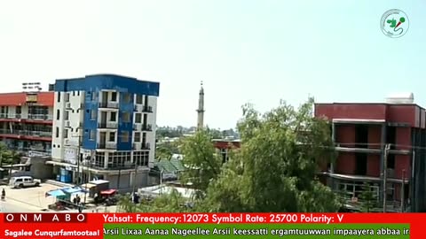 Oduu Ganama ONM-ABO Onkoloolessa 31-2025 itti dhiyaadhaa!