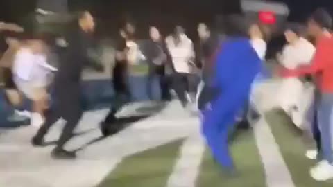 Courage or Stupidity? You Decide… | Wild Street Fight Moment