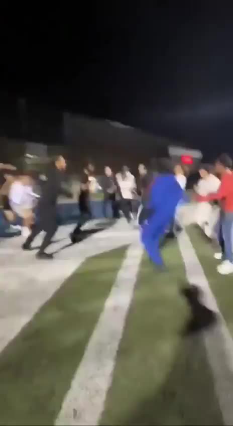 Courage or Stupidity? You Decide… | Wild Street Fight Moment