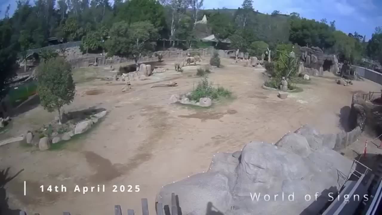 Earth in Chaos - What’s Going On Right Now? April 2025 Pt.4 - Reloaded from World of Signs