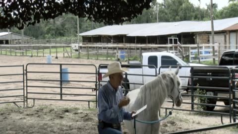 Skipper Calder & Cowboy-up Ministry bring horse training with a message at 11am.