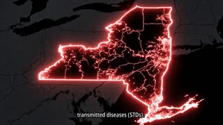 Global Analysis of STDs