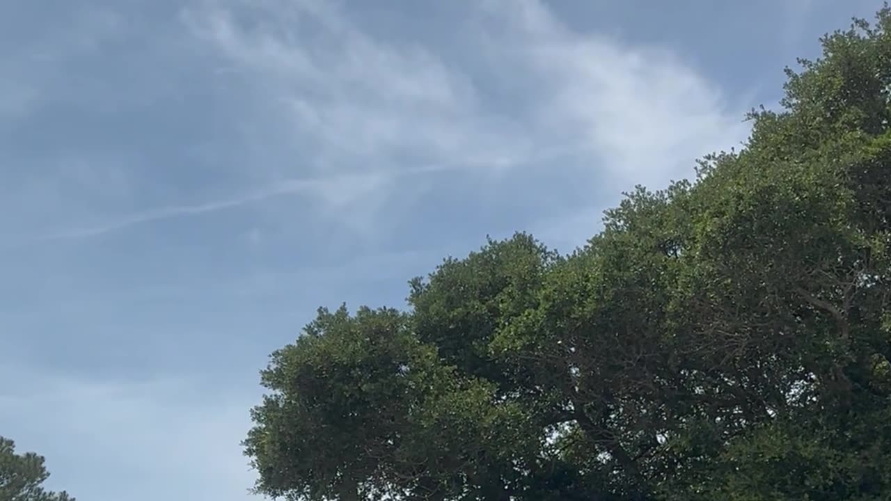 Spraying while raining ! 5-29-2025 obx nc