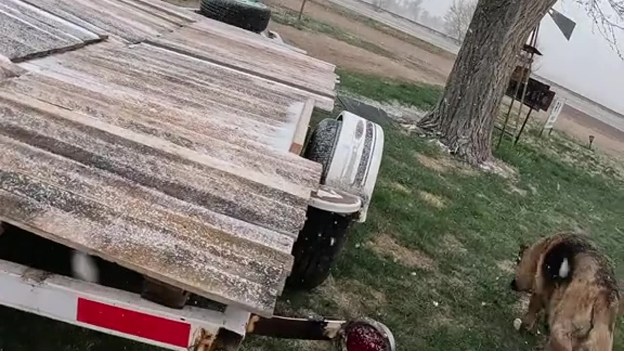 💪Trailer🏗️Build🧰