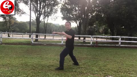 Aerobic Tai Chi Workout-026-Sweeping and Pushing using Palm
