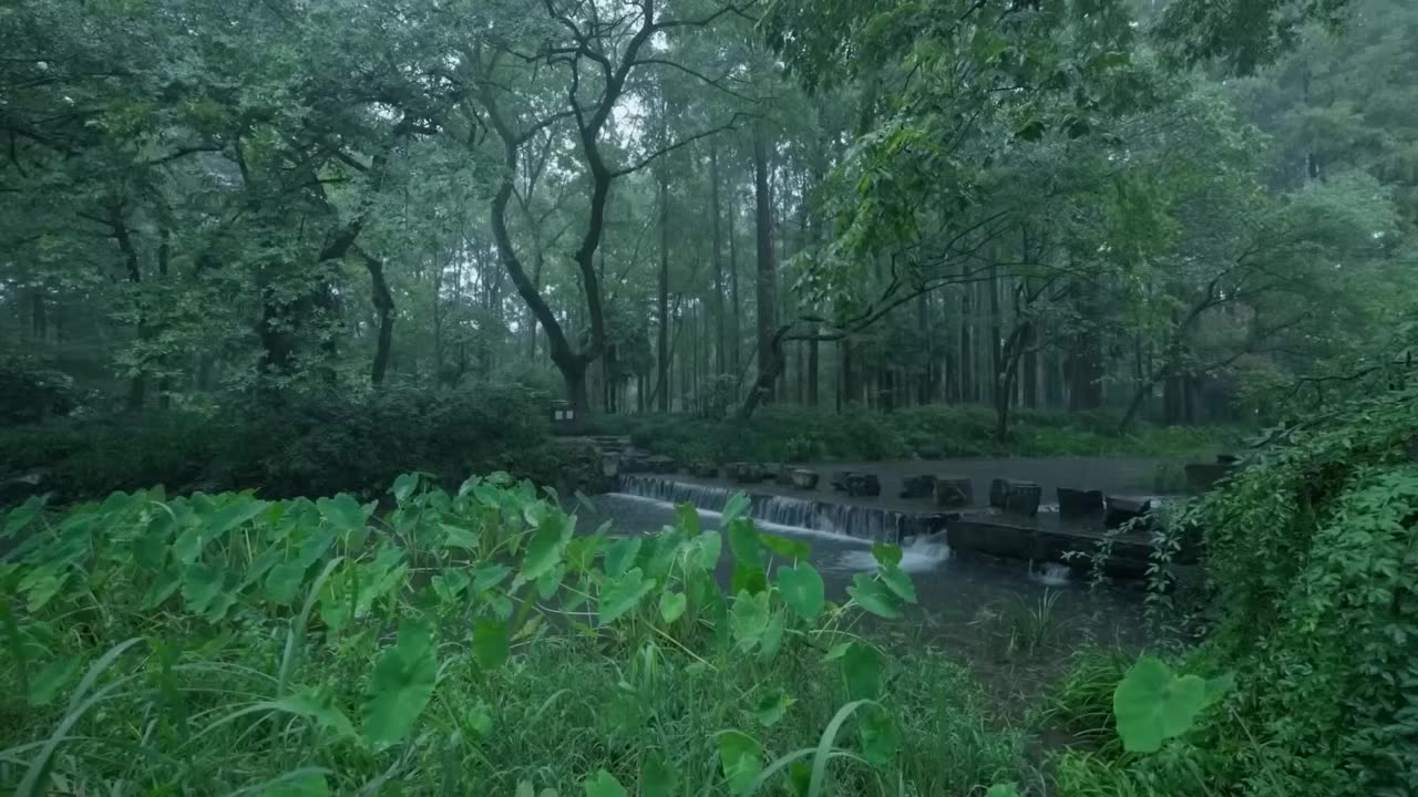 The beautiful little river is raining