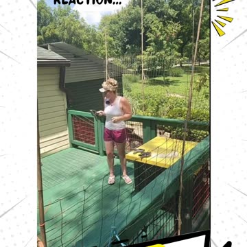 Didn't See THAT Coming! LOL My Reaction: "Live Television" 😂