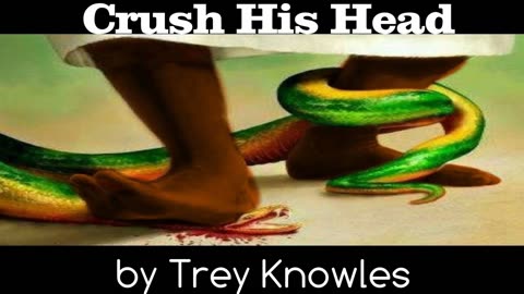 Trey Knowles - Crush His Head