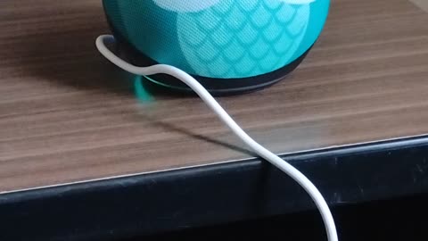 Alexa Echo Dot