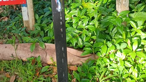 23.10.2025 Water Wastage