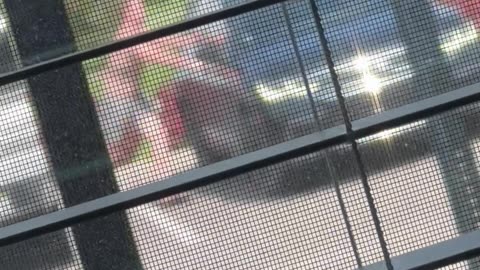 Man Leaps On Moving Car During Argument
