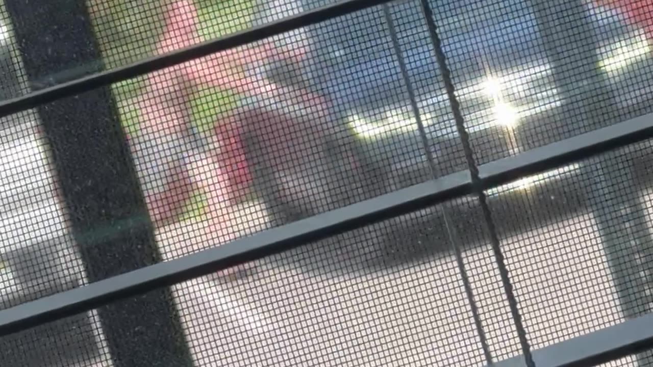 Man Leaps On Moving Car During Argument