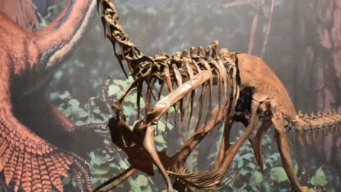 Anzu: The 'Chicken from Hell' Dinosaur