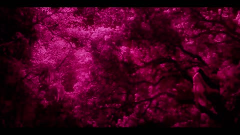 Film : Bulbbul | Enjoy | Watch Part-1 |