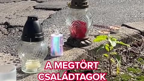 Új hírek érkeztek Sallai Nóra állapotáról | borsonline.hu