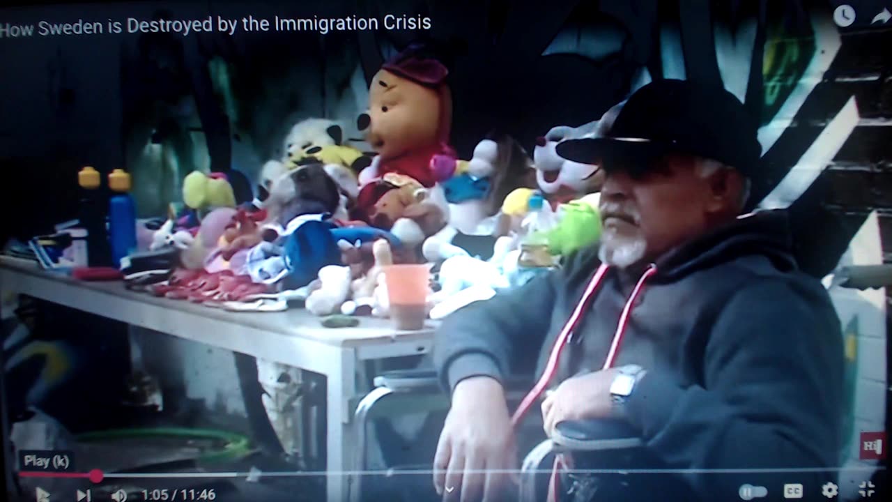SWEDENS open border PART 3
