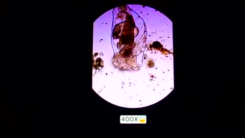 Rain water GEO-Engineering: