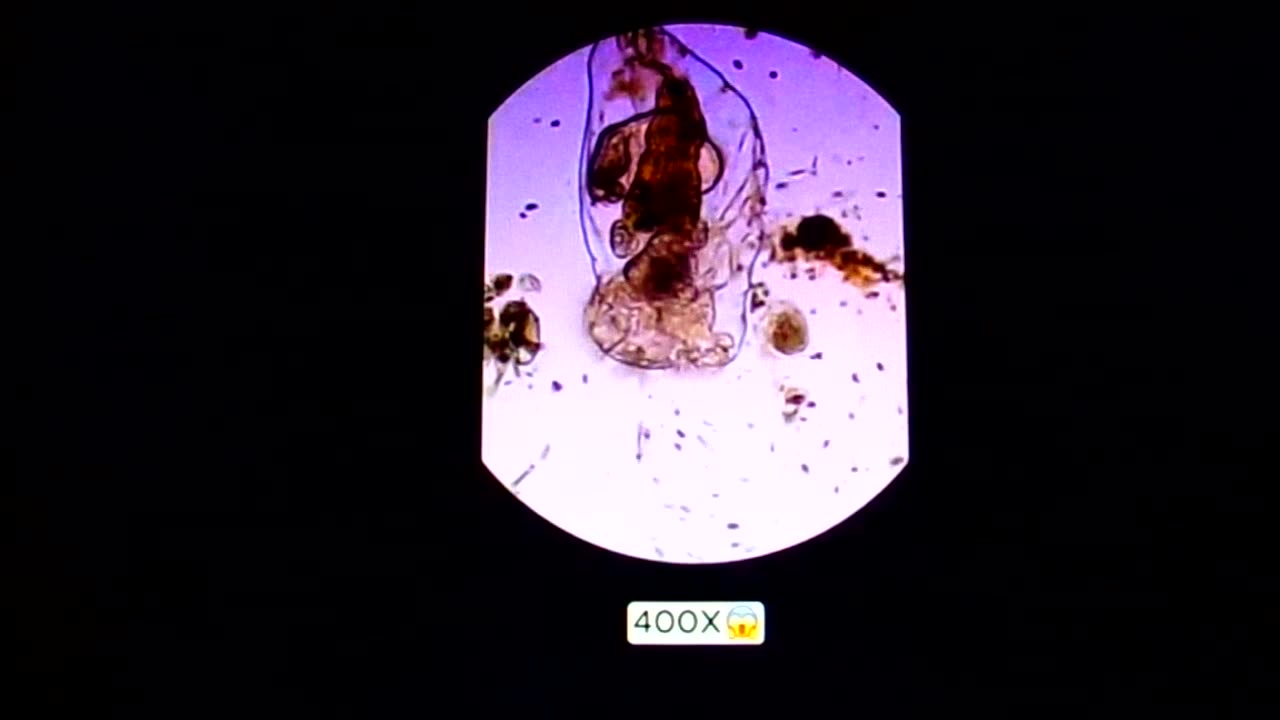 Rain water GEO-Engineering: