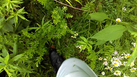 My Walk - Date: 7/3/2016