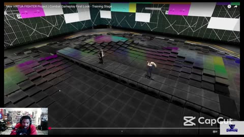 Virtua Fighter Project Reaction