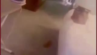 Kanpur: Wife Catches Husband With Another Woman