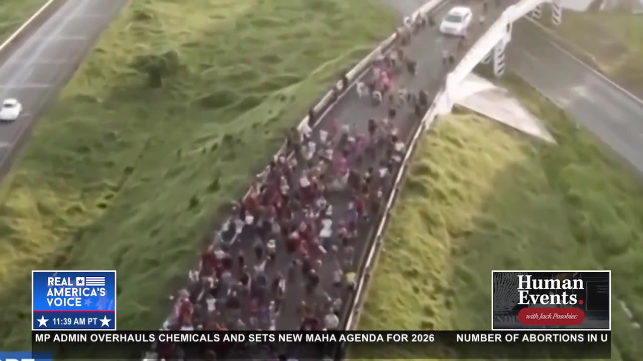 SYRIAN MIGRANT CRISIS: “WAS THIS INTENTIONAL?”