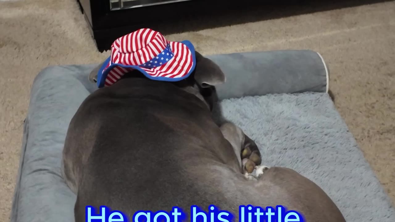 Blue is ready for memorial weekend