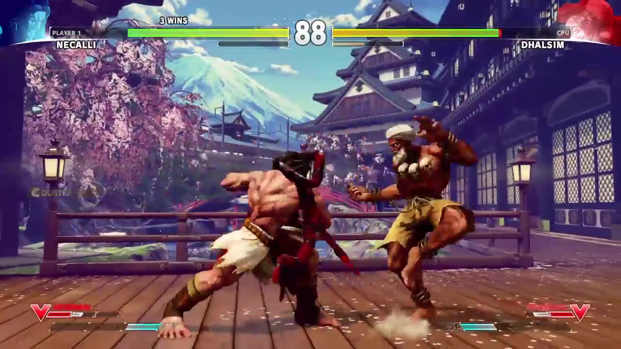 Street Fighter V Battle33
