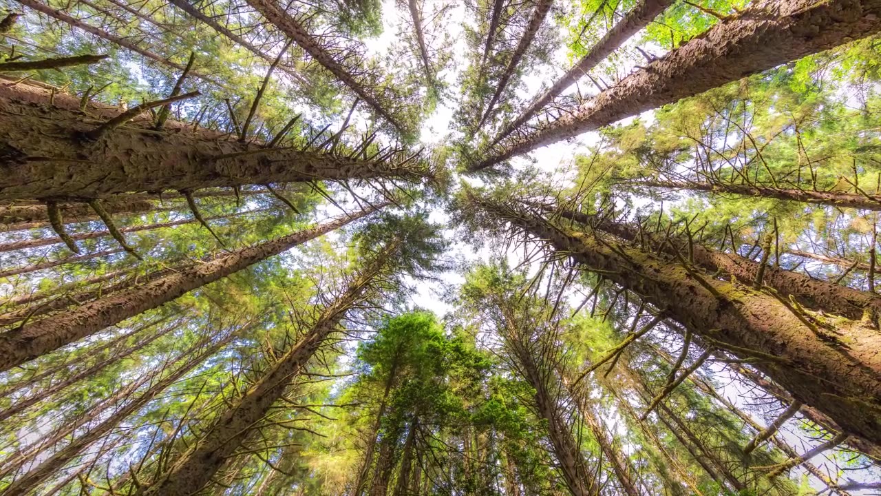 The wonders of nature are all captured in this small space.
