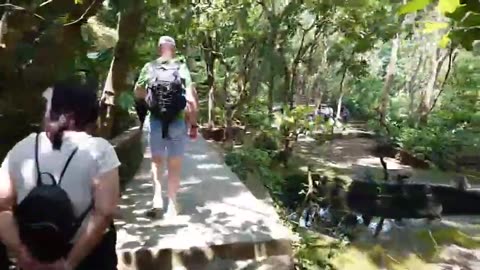 fatty demon pig - 2025 - YT - March 24th part 002 - BALI