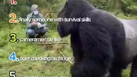 Incredible: Ranking Scariest Animal Encounters
