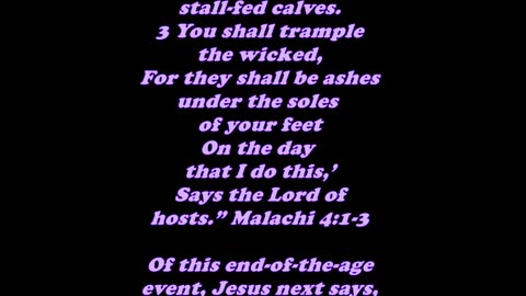 Matthew 13:42 - Daily Bible Verse Commentary