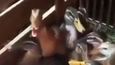 That engineer reaction when the logic is missing.