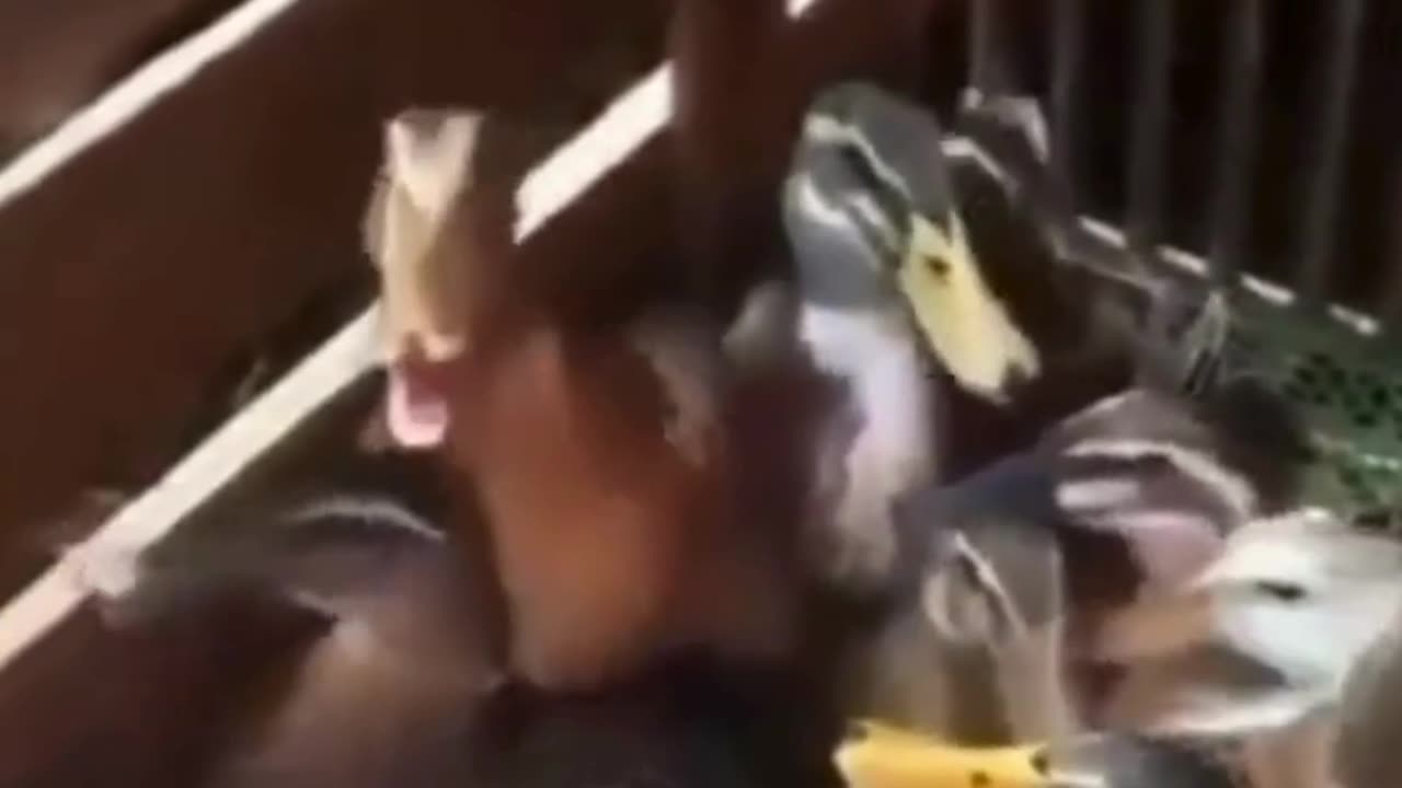 That engineer reaction when the logic is missing.