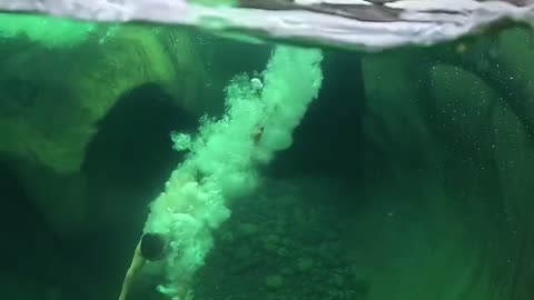 Jump in water