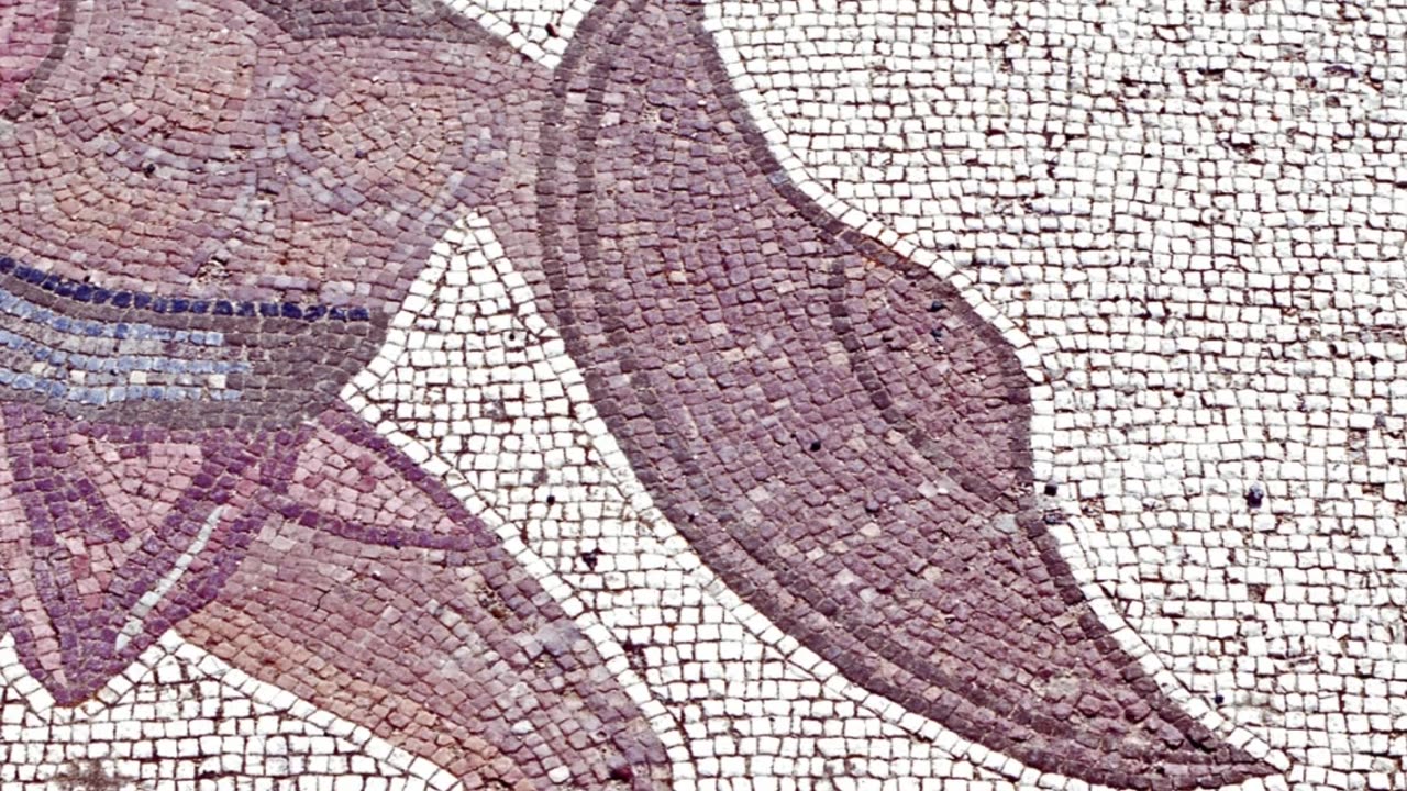 The Colosseum