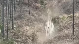 Nature's Unstoppable Fury..hd