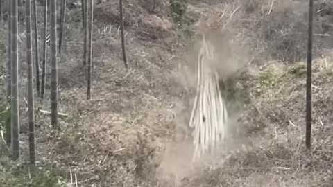 Nature's Unstoppable Fury..hd