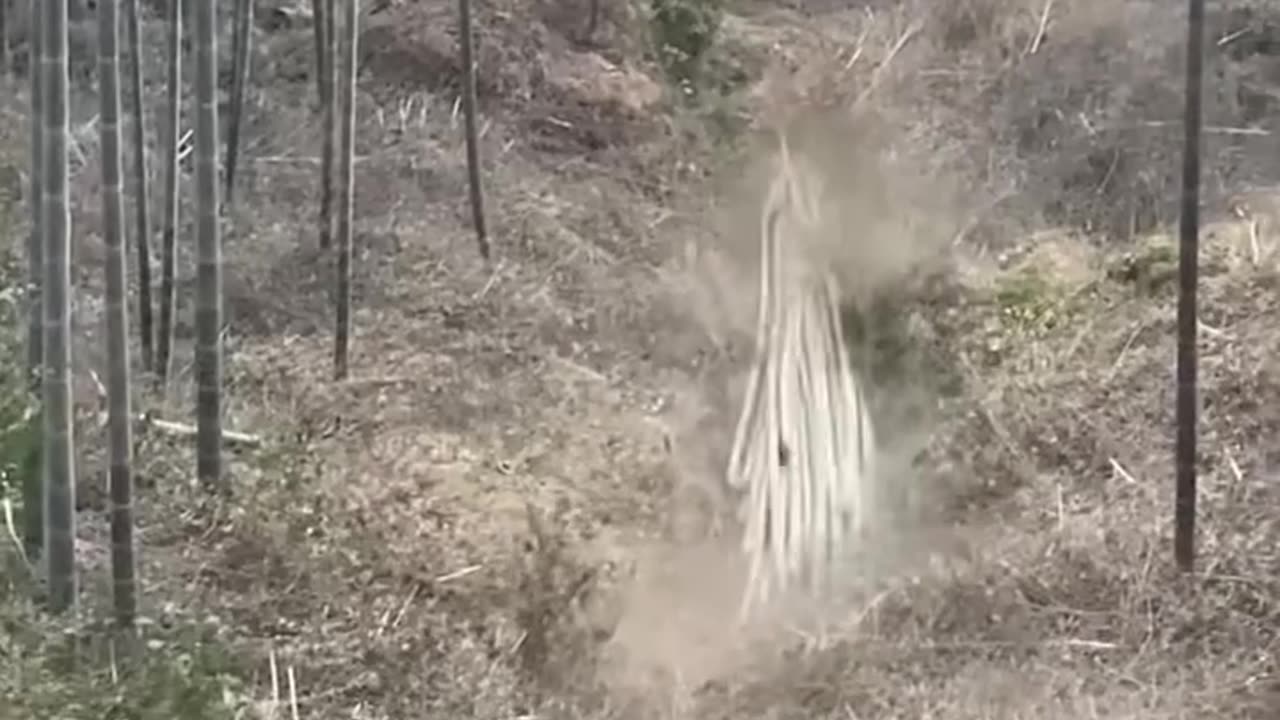 Nature's Unstoppable Fury..hd