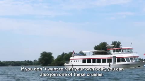 Biesbosch Boat Trip 🚤 | Beautiful Nature, Costs & Travel Guide