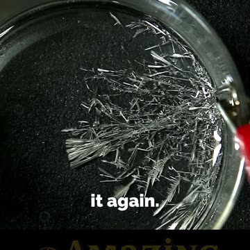 Grow Shiny Tin Crystals ⚡ From Solution to Solder and Food Cans #chemistry #science