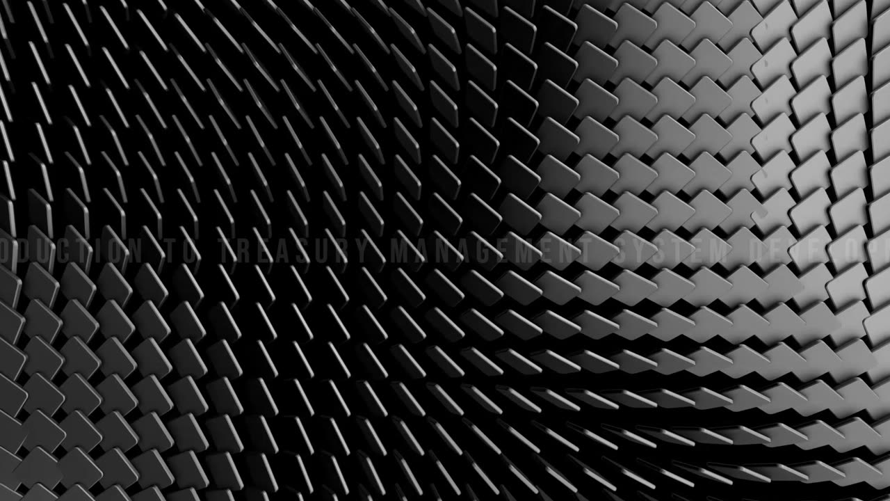 Draft: Introduction to Treasury Management System Programming in JAVA and C/C++