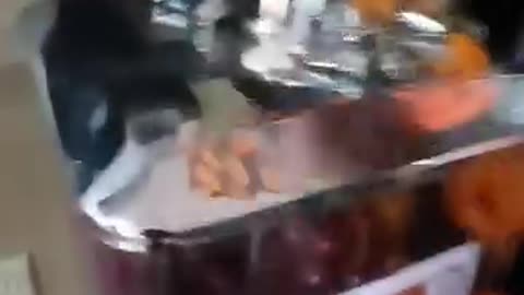 Grind Hard Or Go Home-