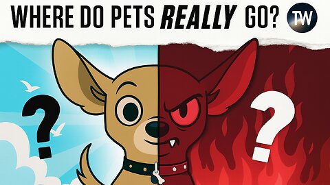 The ONE Verse that Shows What Happens to Our Pets After Death